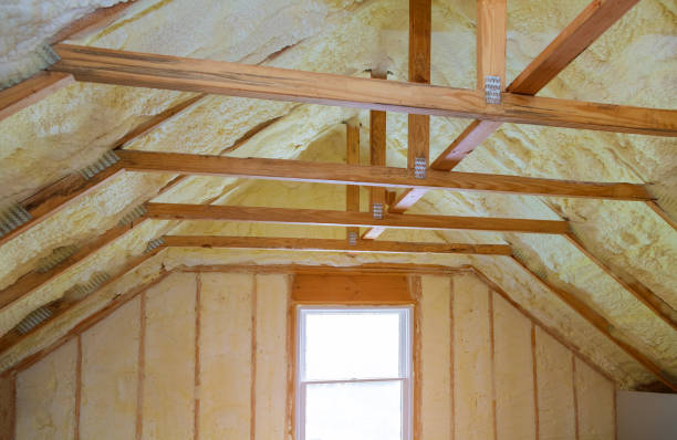 Best Energy-efficient Insulation  in Braidwood, IL